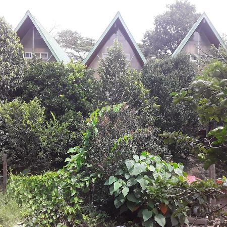 Fireside Inn And Grill Boquete Bagian luar foto