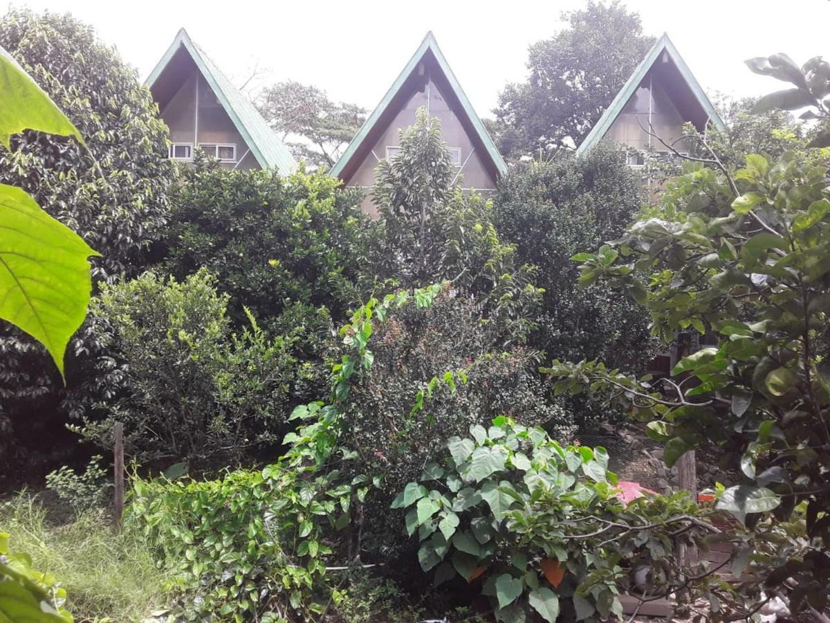 Fireside Inn And Grill Boquete Bagian luar foto